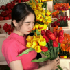 Ms Hồng